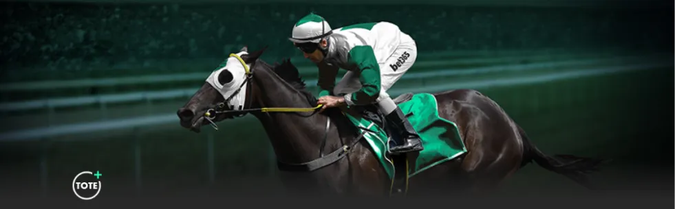 皮克福德成,为英格兰队,场里程碑球,米兰体育官网,米兰体育App,米兰体育直播,米兰体育登录,米兰体育平台