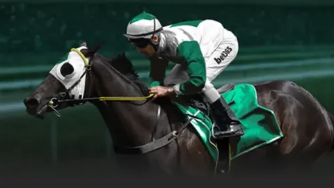 皮克福德成为英格兰队75场里程碑球员，与队史第二大门将并肩