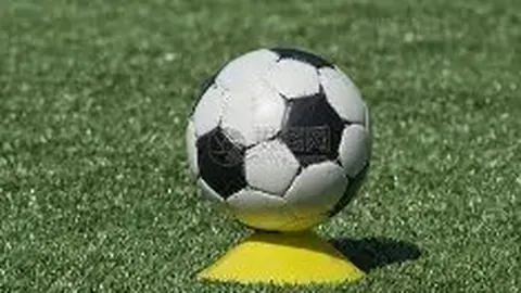 [中超首轮]浙江队挑战大连英博队